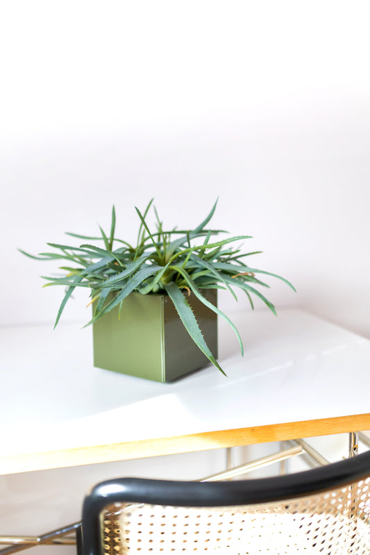 Blumentopf / Übertopf / Box colorful