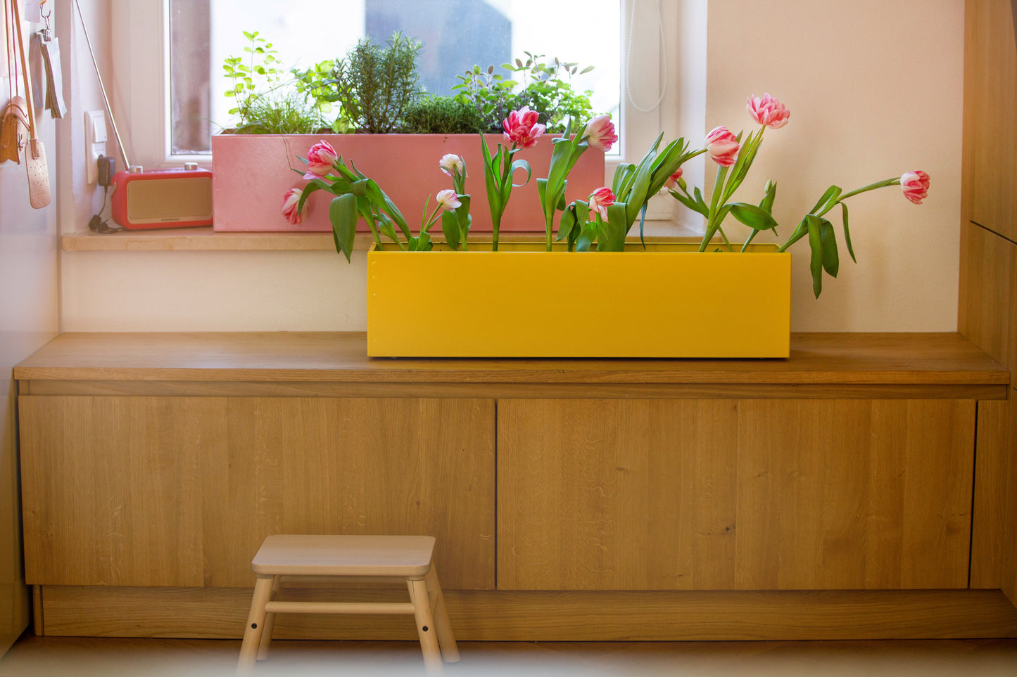 Blumenkasten Colorful