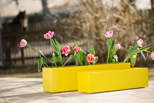 Blumenkasten Colorful