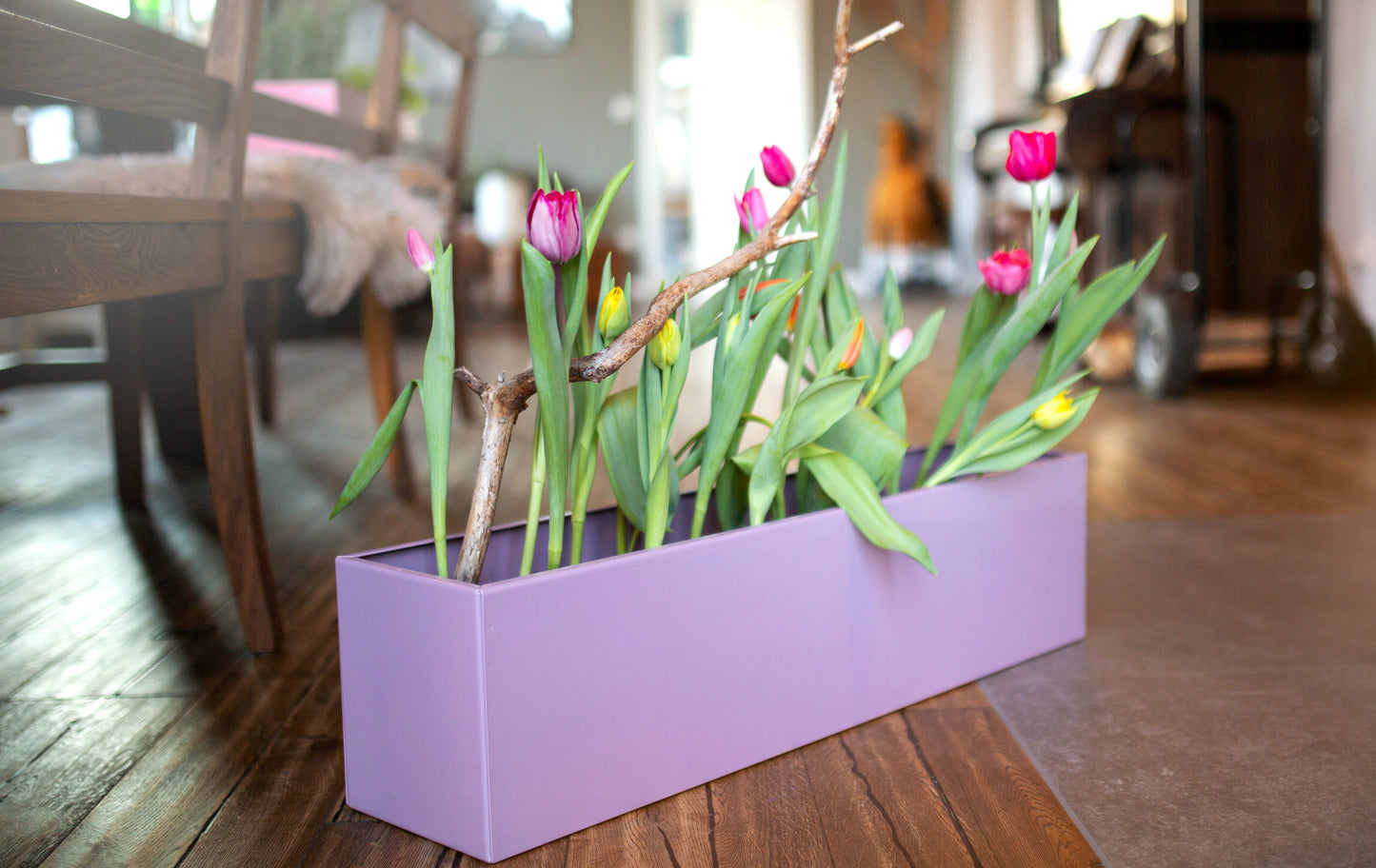 Blumenkasten Colorful