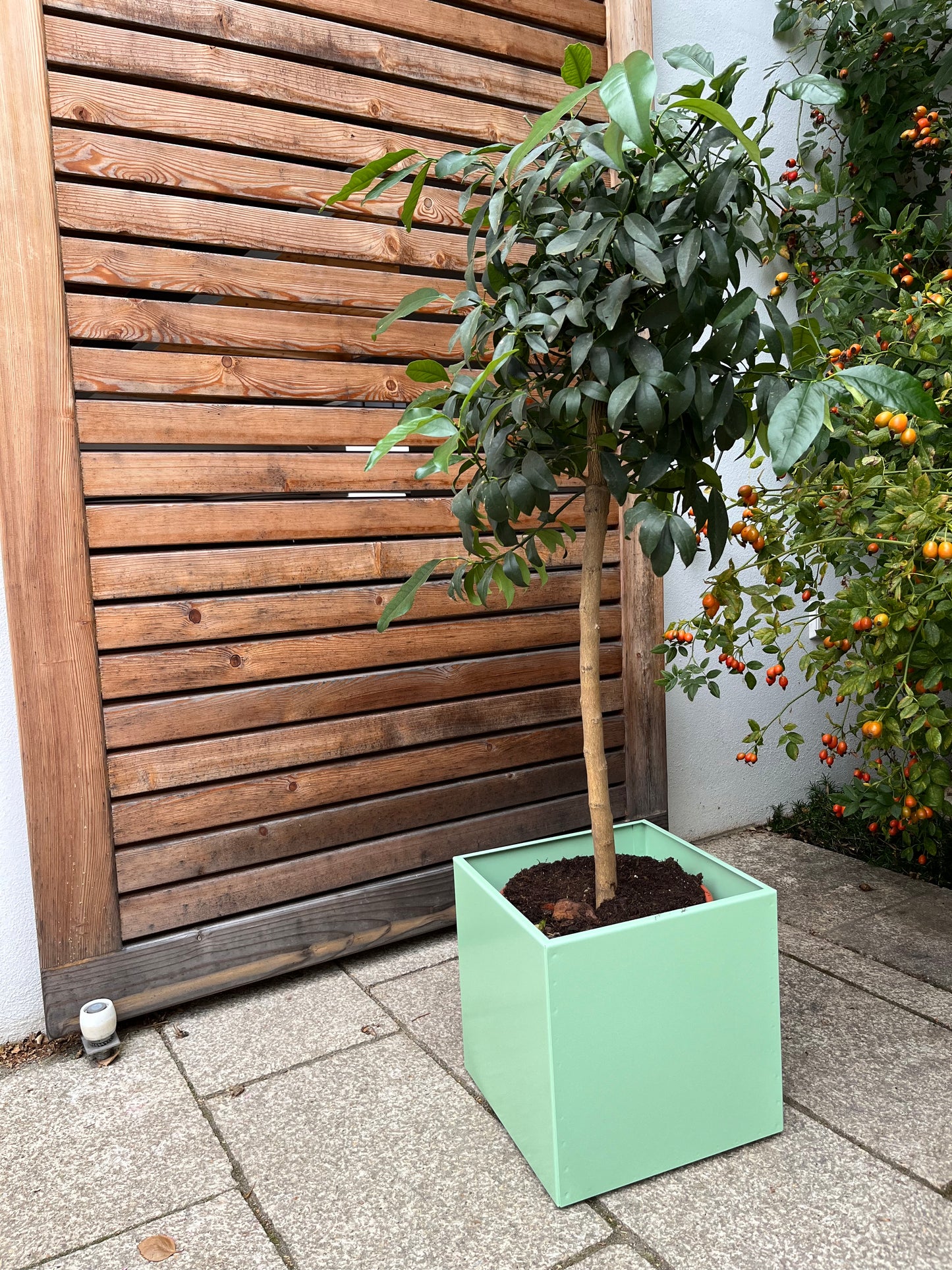 Blumentopf / Übertopf / Box colorful