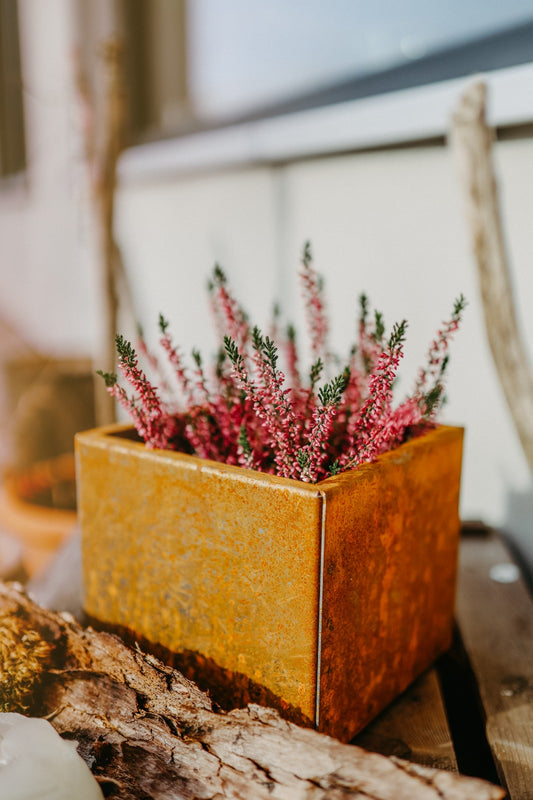 Blumentopf / Übertopf Corten