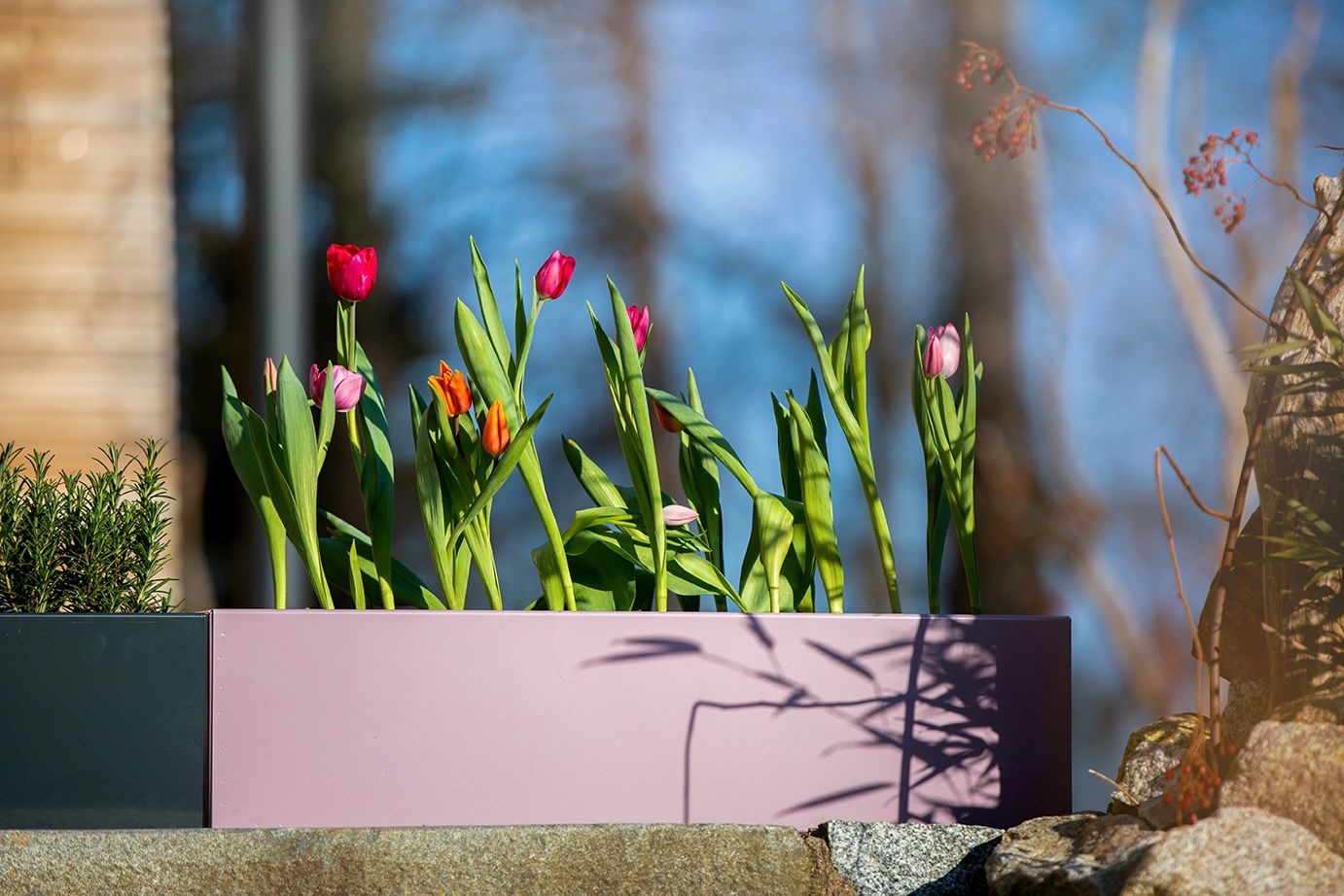 Blumenkasten Colorful