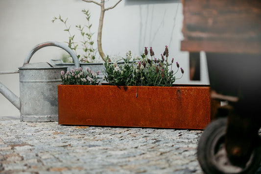 Cortenstahl Pflanzkübel – robuste Eleganz für Garten & Terrasse