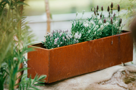 Blumenkasten Corten