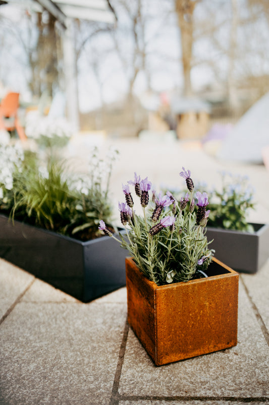 Blumentopf / Übertopf Corten