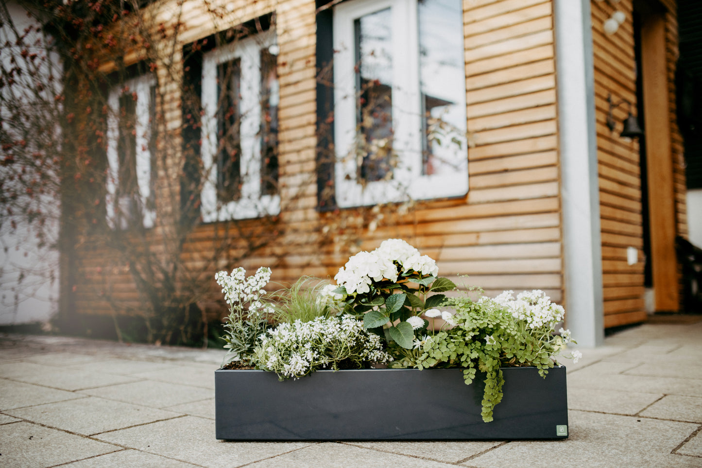 Blumenkasten Colorful