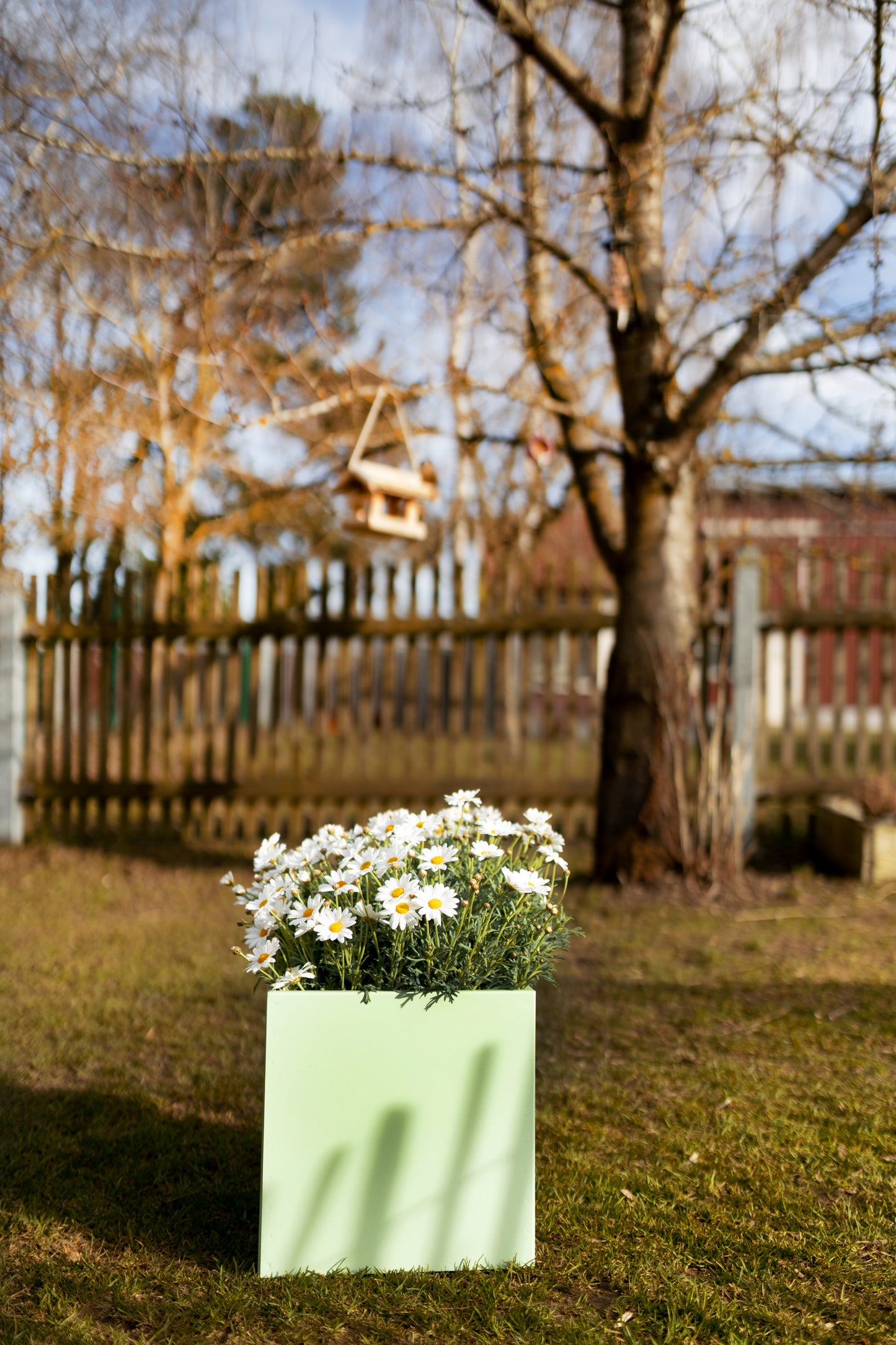 Blumentopf / Übertopf / Box colorful
