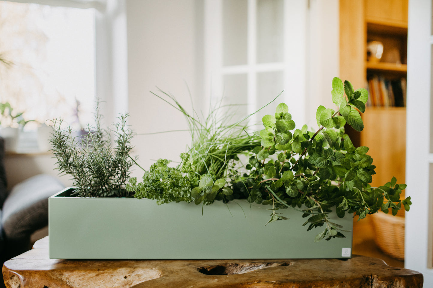 Blumenkasten Colorful