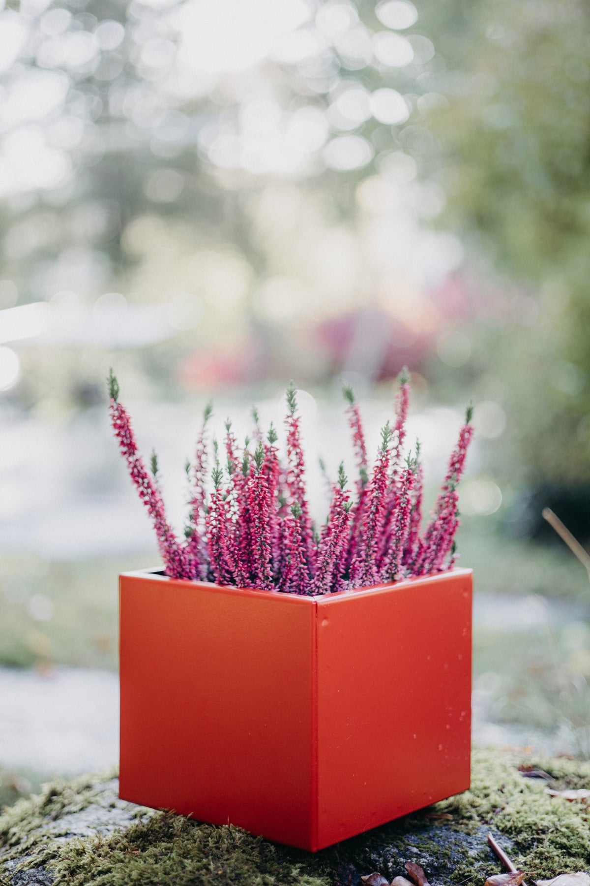 Blumentopf, Metall bunt robust stabil zeitlos schlicht klein Design, Dekoration farbig 