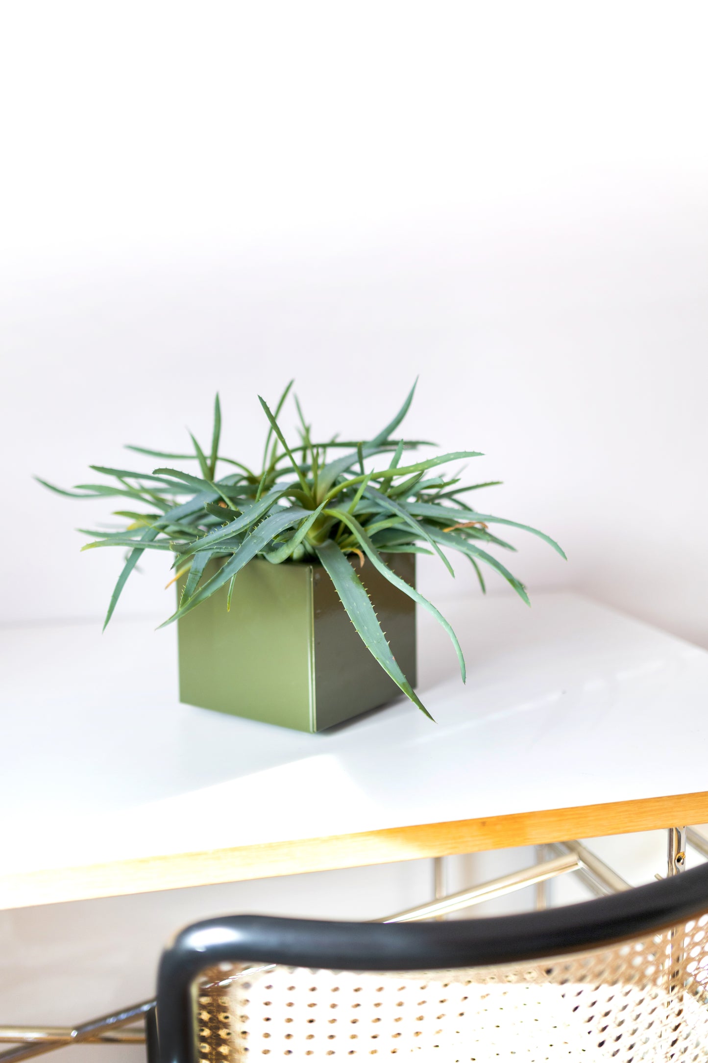 Blumentopf grün metall bunt hochwertig schlicht modernliving 