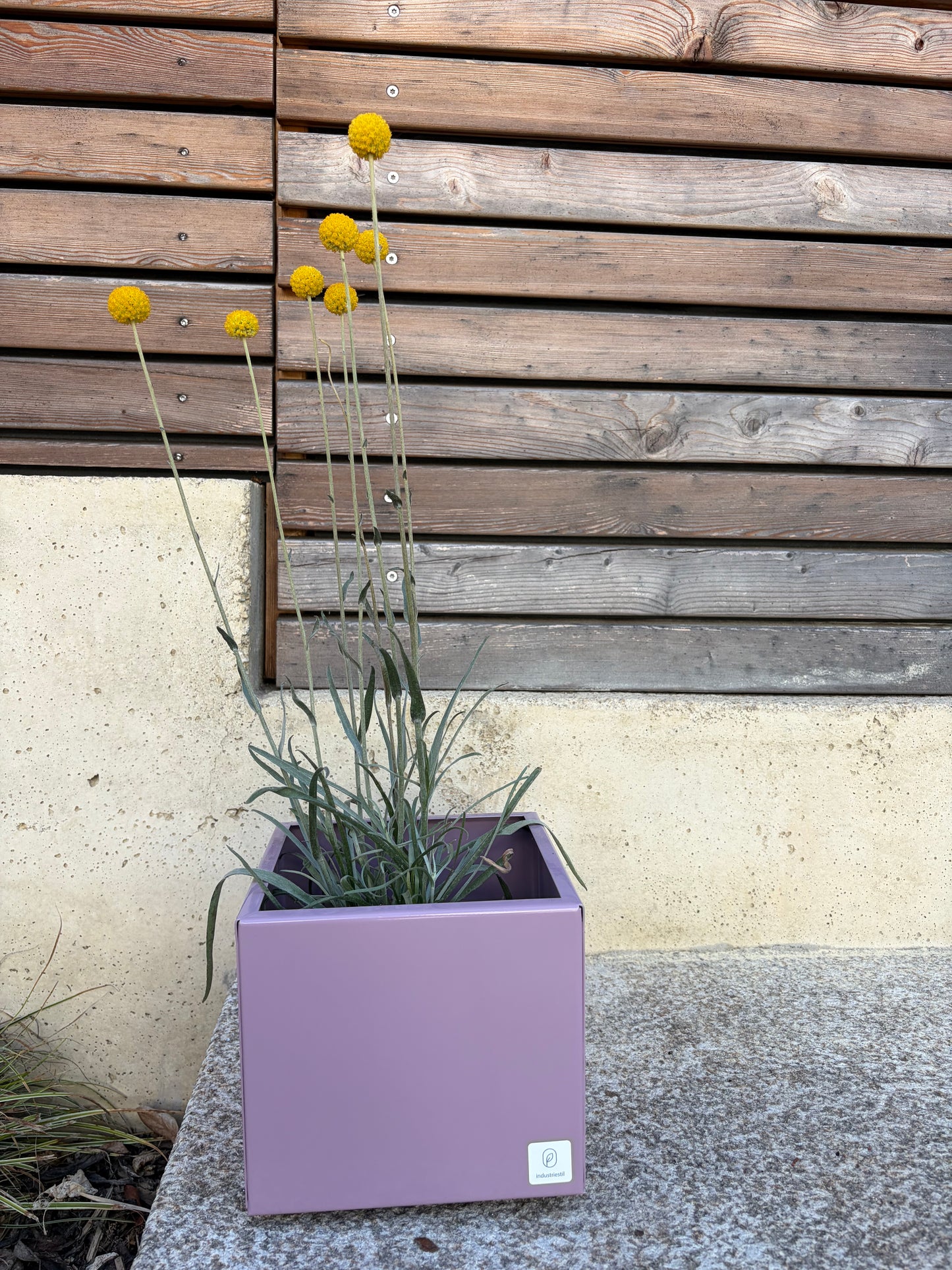 Blumentopf  blunt klein Flieder Metall