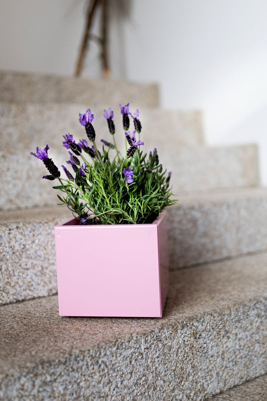 Blumentopf Metall pulverbeschichtet Handmade