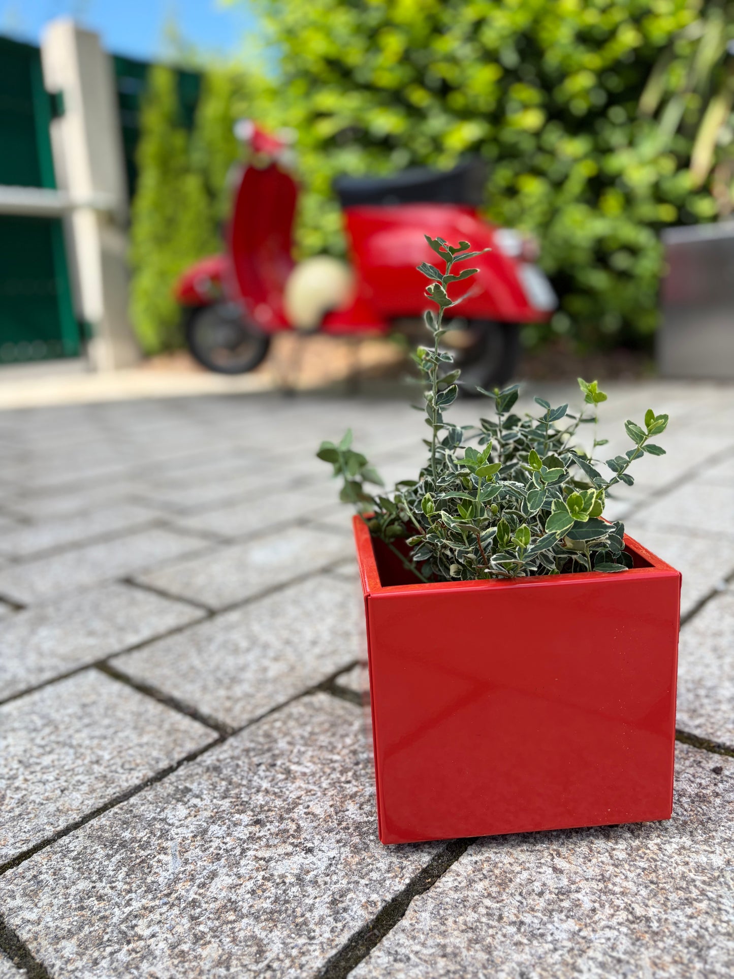 Blumentopf bunt Metall rot hochwertig nachhaltig quadratisch 