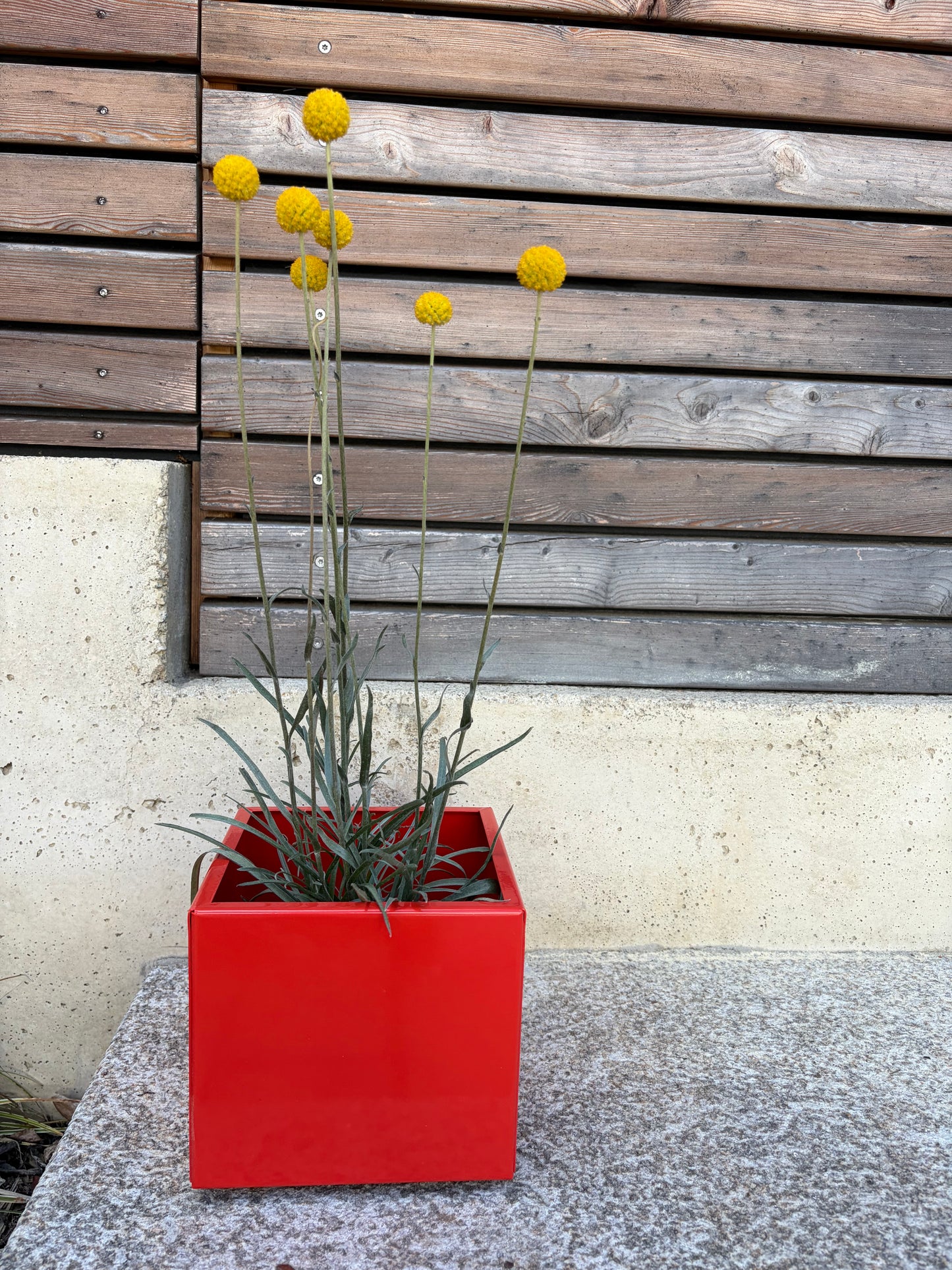 Blumentopf rot metall nachhaltig quadratisch bunt hochwertig 
