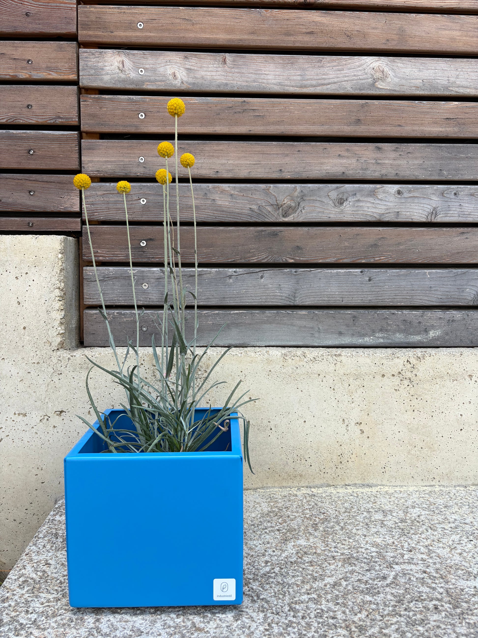 Blumentopf small blau Metall hochwertig bunt quadratisch