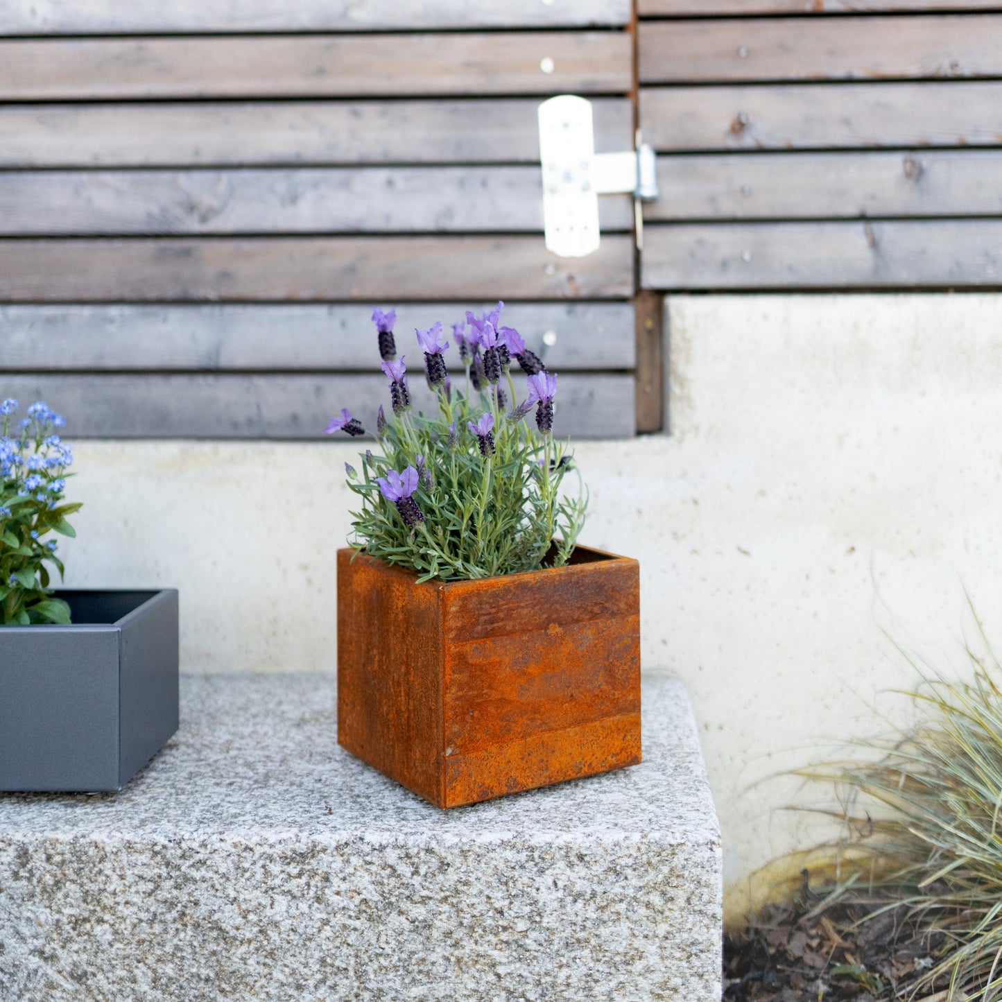Blumentopf Metall Cortenstahl small klein Rost