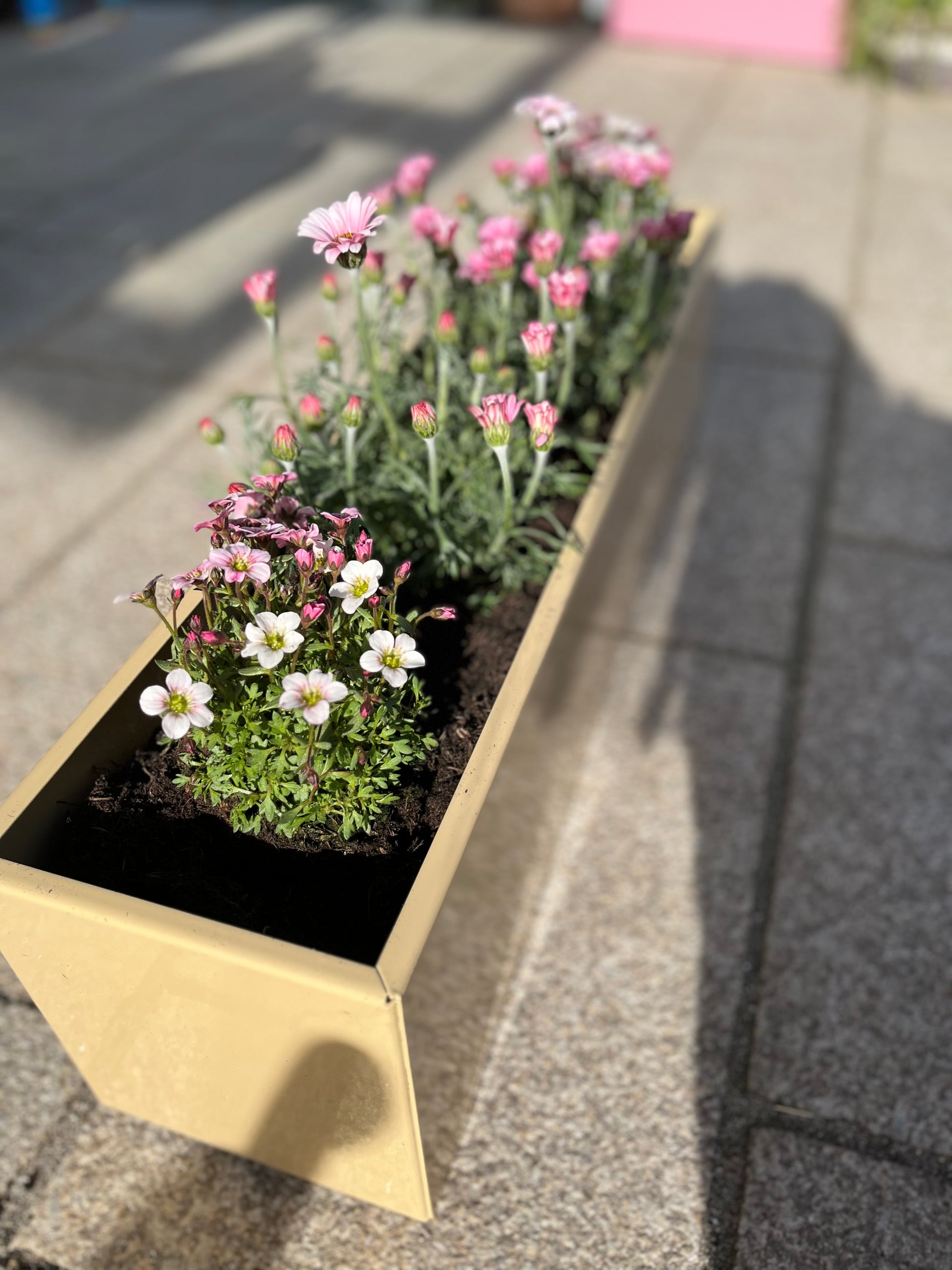 Blumenkasten Colorful – Industriestil