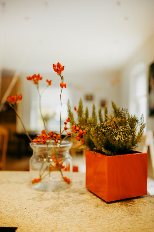 Blumentopf / Übertopf / Box colorful