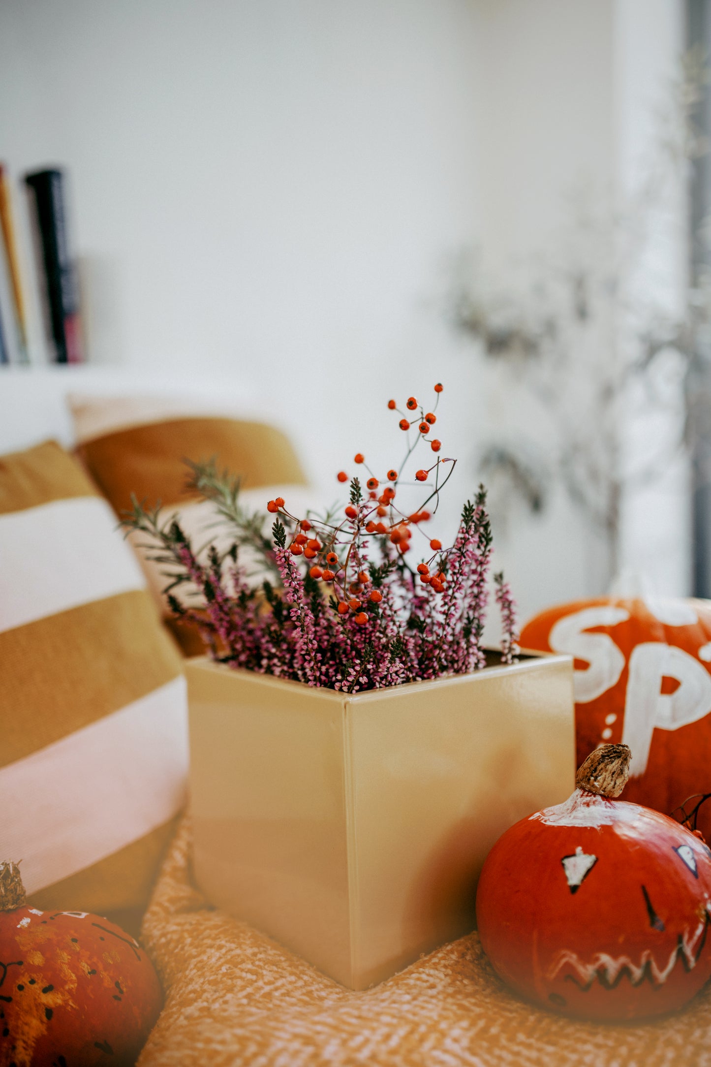 Blumentopf / Übertopf / Box colorful