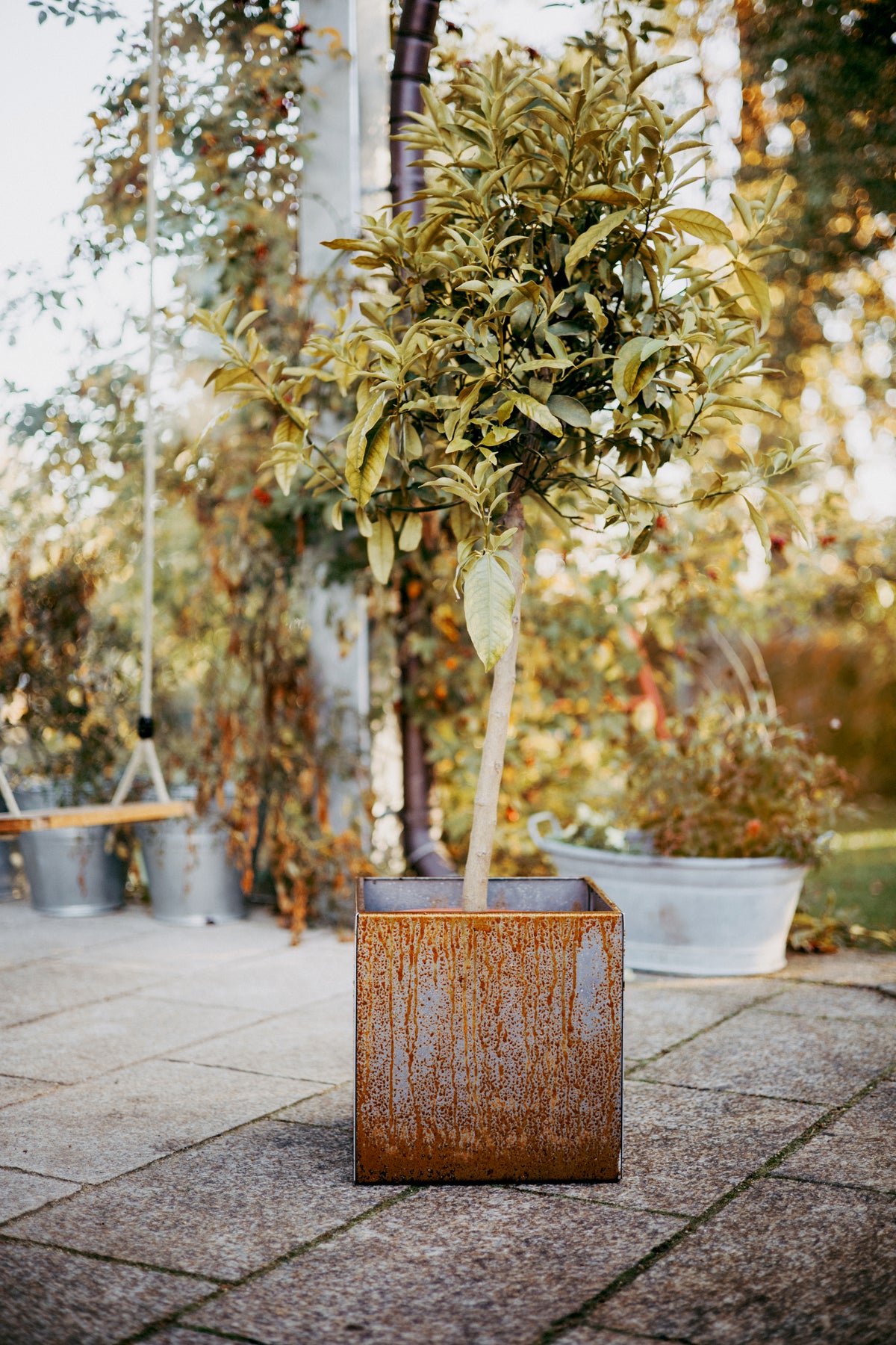 Cortentstahl pflanzkübel rostoptik Blumentopf übertopf Metall zeitlos corten groß Terrasse Rost zeitlos robust stabil schlicht 