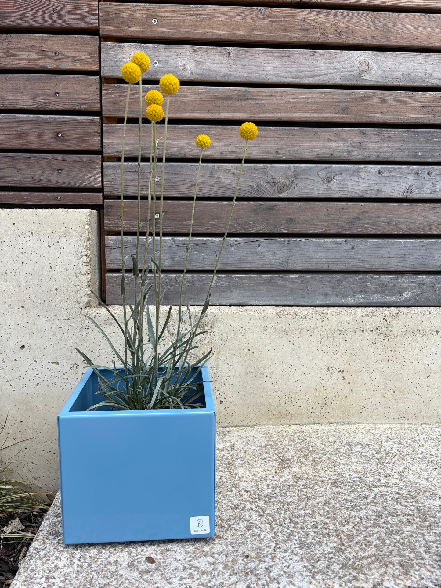 Blumentopf small hellblau Metall hochwertig bunt quadratisch