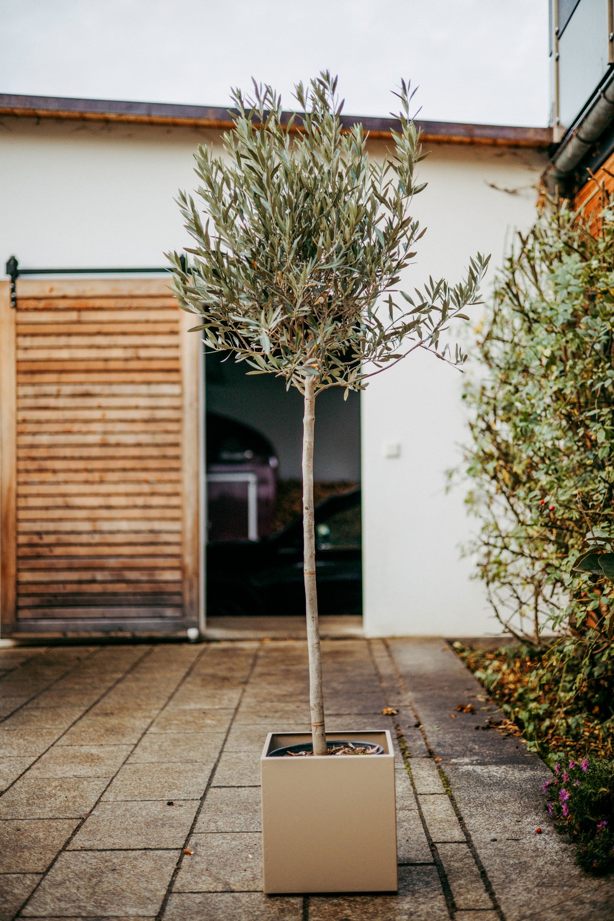 metall planzkübel schlicht, hochwertig , langlebig, wetterfest , Terrassendesign, modern, zeitlos Blumentopf bunt aus metall pulverbeschichtet